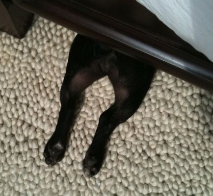 Hiding Under The Bed. Photogallery
